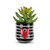 A mini black ceramic container with white stripes and a raised red heart. The container has an artificial succulent.