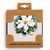 A set of four ceramic square coasters with a watercolor image of a white magnolia, displayed in a packaging box.