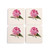 A set of four ceramic square coasters with a watercolor image of a pink rose.
