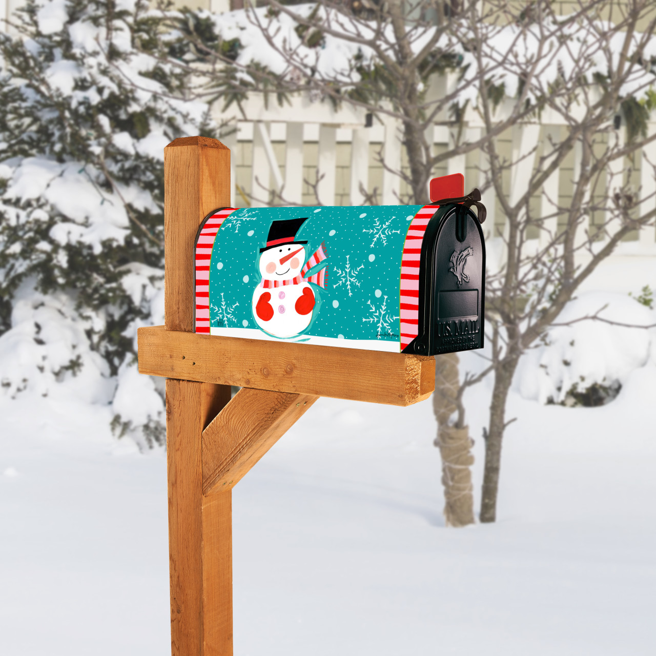 Snowman with Blue background MailWrap thumbnail