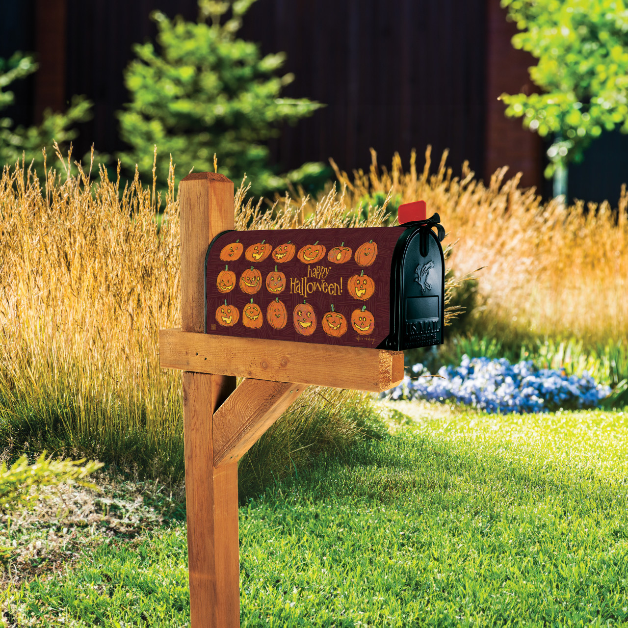 Carved Pumpkins MailWrap thumbnail