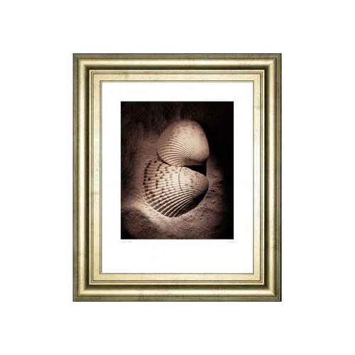 COCKLES BY LAUREL WADE 22x26