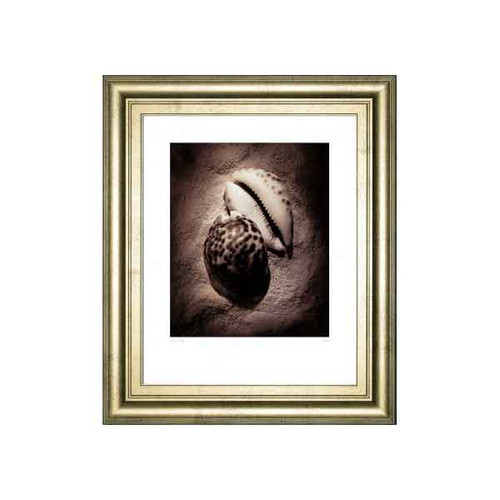 COWRIE BY LAUREL WADE 22x26