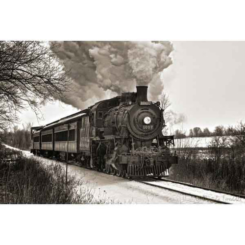 TRAIN ARRIVAL BY URSULA TWEEDLE 40x60