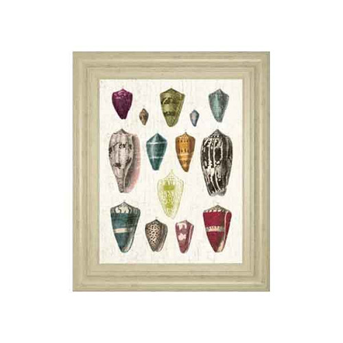 COLORFUL SHELL I BY WILD APPLE PORTFOLIO 22x26