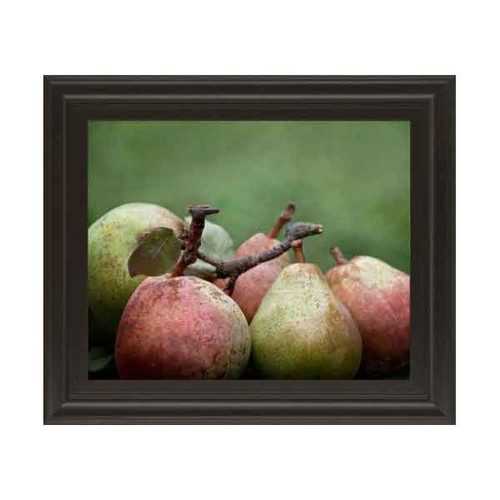 COMICE PEAR II 22x26