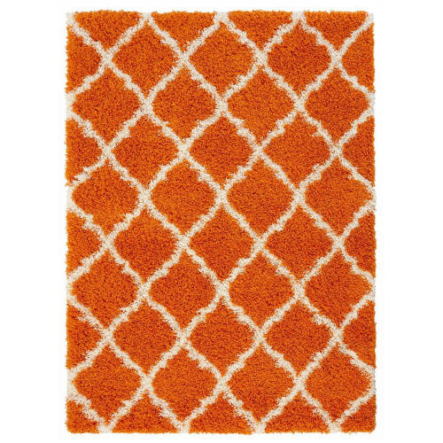  Cozy Moroccan Orange Shag Area Rug