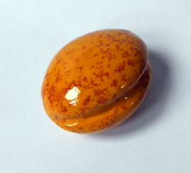 Apricot - Faïencerie d’Art de Malicorne Pottery