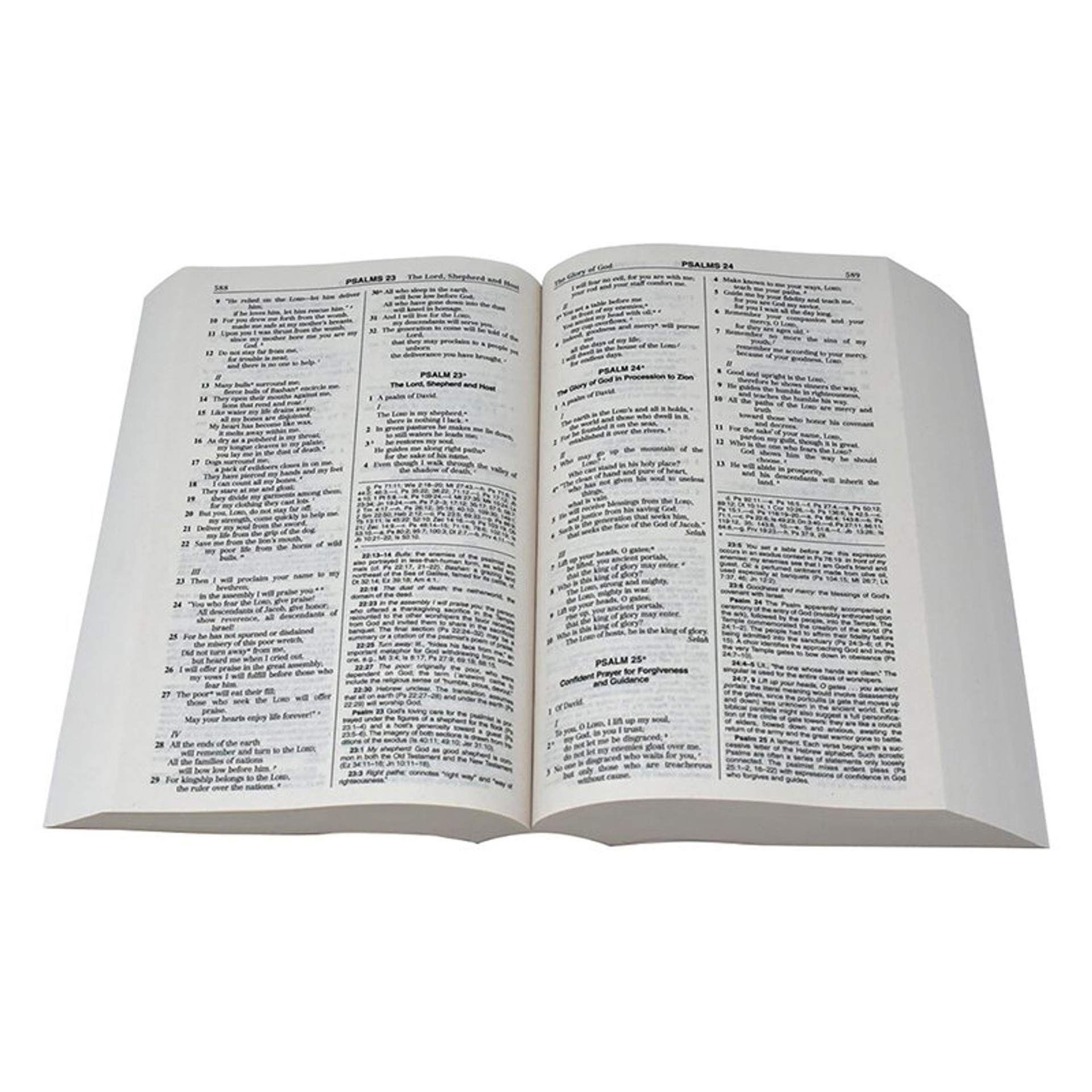 Paperback New American Bible Revised Edition Consumer Catholic paperback-new-american-bible-revised-edition-consumer-catholic