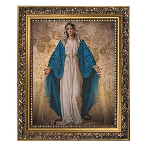 Our Lady of Grace Framed Print
