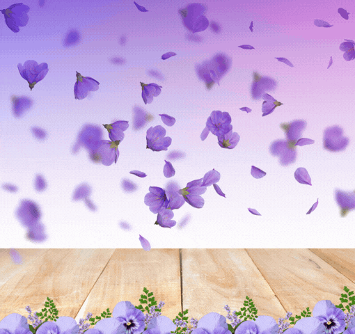 SHOP LENT STARTS FEBRUARY 18