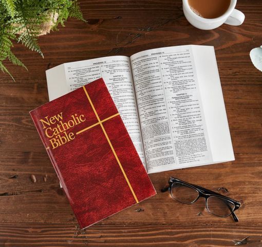 BIBLES AND BOOKS CATEGORY