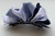 Z_BPS RIBBON BURST