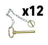 12 Standard Pins Bundle