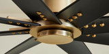 Dynamic Lighting & Ceiling Fans From Oxygen Lighting