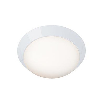 Flush Mount (7|20624-WH/OPL)