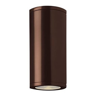 Bi-Directional Outdoor LED Wall Mount (7|20389MG-BRZ/CLR)
