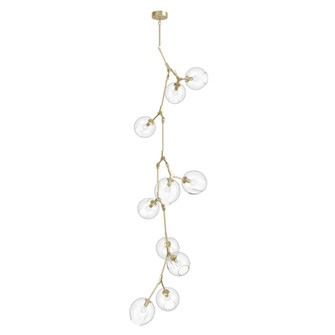 Fairfax 10-Light 26''W Chandelier in Brushed Brass/Clear Glass (4450|HF8080-BB)