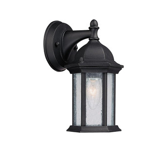 1 Light Outdoor Wall Lantern (42|9831BK)