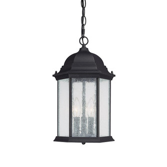 3 Light Outdoor Hanging Lantern (42|9836BK)