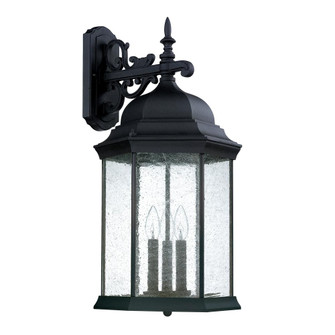 3 Light Outdoor Wall Lantern (42|9838BK)
