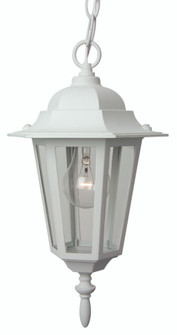 Straight Glass Cast 1 Light Outdoor Pendant in Textured White (20|Z151-TW)