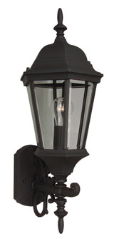Straight Glass Cast 1 Light Medium Outdoor Wall Lantern in Textured Black (20|Z250-TB)