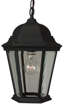 Straight Glass Cast 1 Light Outdoor Pendant in Textured Black (20|Z251-TB)