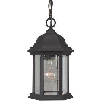 Hex Style Cast 1 Light Outdoor Pendant in Textured Black (20|Z291-TB)