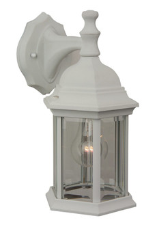 Hex Style Cast 1 Light Medium Outdoor Wall Lantern in Textured White (20|Z294-TW)