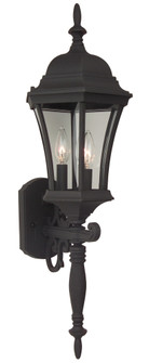 Curved Glass Cast 3 Light Large Outdoor Wall Lantern in Textured Black (20|Z340-TB)