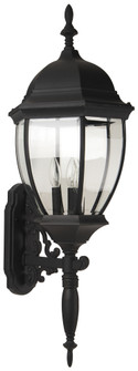 Bent Glass Cast 3 Light Large Outdoor Wall Mount in Textured Black (20|Z580-TB)