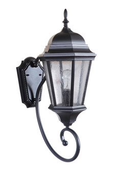 Newberg 23.25'' 1 Light Wall Lantern in Midnight with Clear Seeded Glass (20|Z2960-MN)