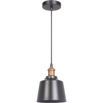 1 Light Mini Pendant in Matte Black/Patina Aged Brass (20|P760MBKPAB1)