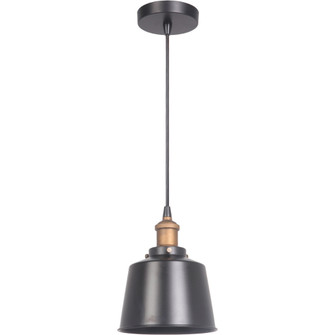 1 Light Mini Pendant in Matte Black/Patina Aged Brass (20|P760MBKPAB1)