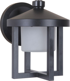 Alta 8.75'' Outdoor LED Wall Lantern in Midnight (20|Z9214-MN-LED)