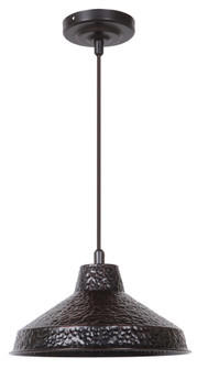 1 Light Pendant w/Metal Shade (20|P520ABZ1)