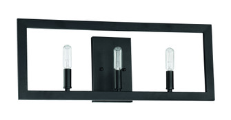Portrait 3 Light Vanity in Espresso (20|44903-ESP)