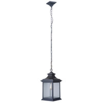 Gentry 1 Light Medium Outdoor Pendant in Midnight (20|Z3211-MN)