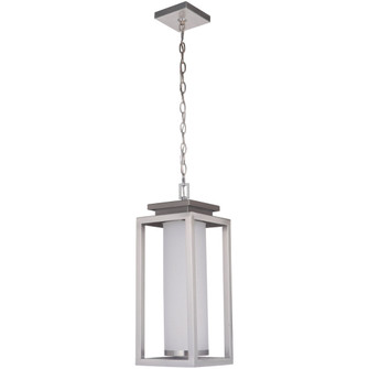 Vailridge 1 Light Large LED Outdoor Pendant in Stainless Steel (20|ZA1321-SS-LED)