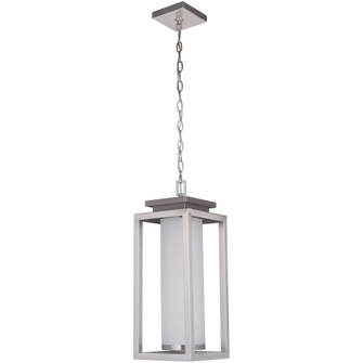 Vailridge 1 Light Large LED Outdoor Pendant in Stainless Steel (20|ZA1321-SS-LED)