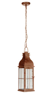 Vincent 22.5'' Outdoor LED Pendant in Weathered Copper (20|ZA1811-WC-LED)