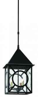 Ripley Large Outdoor Lantern (92|9500-0008)