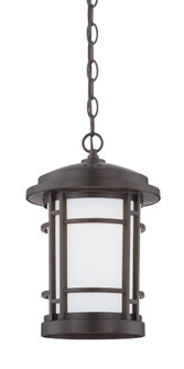 Barrister 9'' LED Hanging Lantern (21|LED22434-BNB)