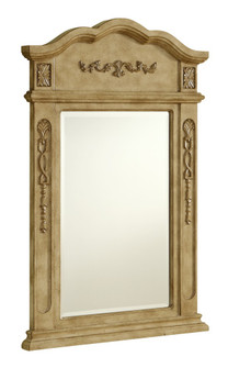 Danville 24 In. Traditional Mirror in Antique Beige (758|VM-1001)