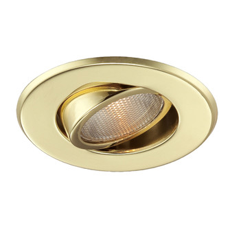 Trim, 4in, Par20 Gimbal, Gold (4304|19165-03)