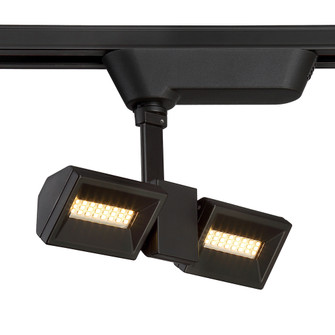 Trackhead, LED, 2LT , 10LT w, Black (4304|29672-028)