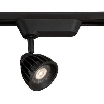 Trackhead, LED, 30w, 30k, Bm30, Blk (4304|29680-30-01)