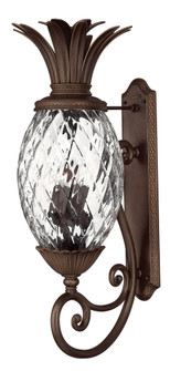 Extra Large Wall Mount Lantern (87|2225CB)