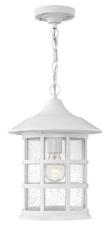 Medium Hanging Lantern (87|1802CW)